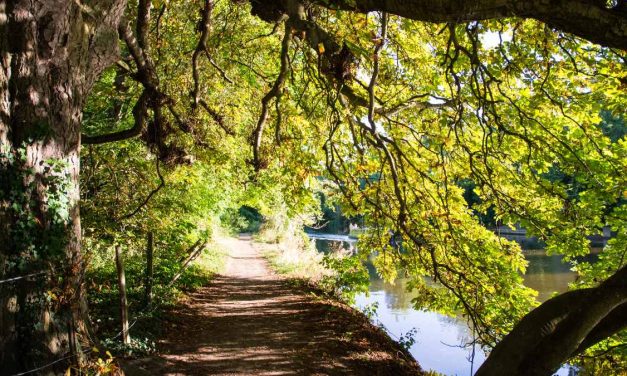 London, England for the Nature Lovers