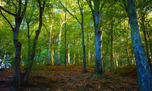 Istanbul, Turkey: Explore the Great Outdoors and Nature