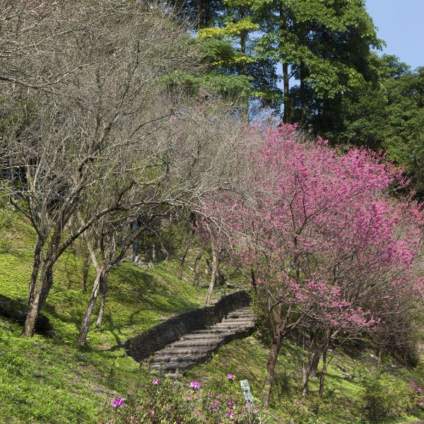 Taipei Taiwan Nature Wulai